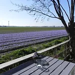 Appels En Peren Breezand (North Holland)