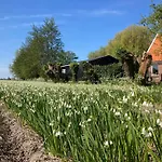 Appels En Peren Oda ve Kahvaltı Breezand (North Holland)