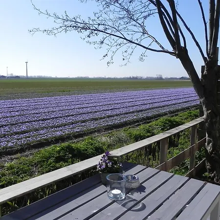 Appels En Peren Breezand