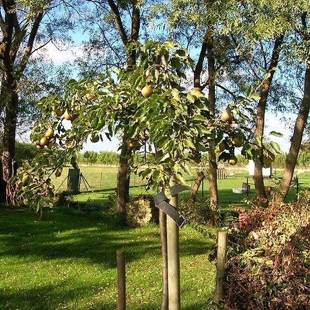 Appels En Peren