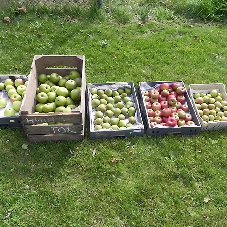Bed & Breakfast Appels En Peren