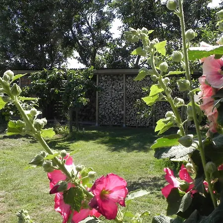 Appels En Peren 4* Breezand