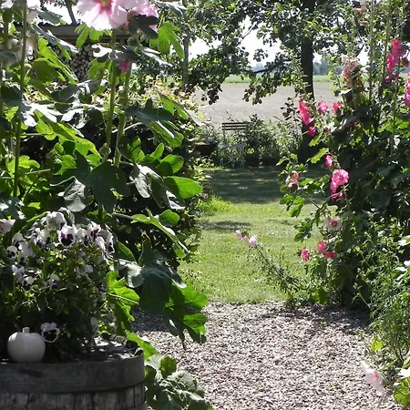Bed & Breakfast Appels En Peren Breezand