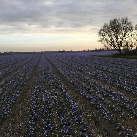 Bed & Breakfast Appels En Peren 3*