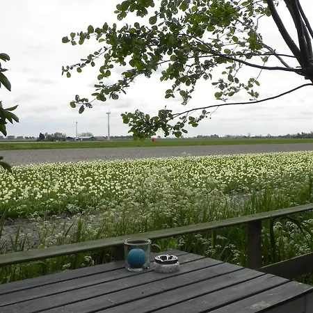 Bed & Breakfast Appels En Peren