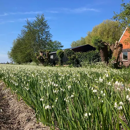 Appels En Peren Alojamento de Acomodação e Pequeno-almoço Breezand