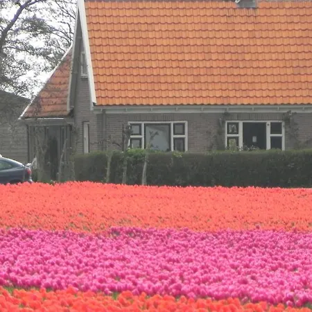 Bed & Breakfast Appels En Peren
