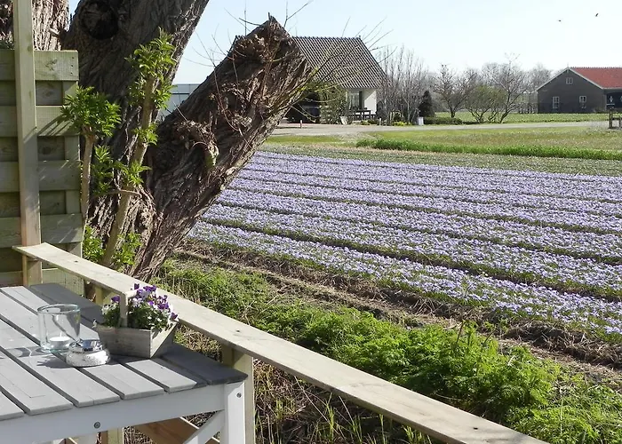 Appels En Peren Panzió Breezand