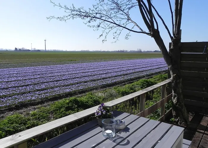 Appels En Peren Breezand