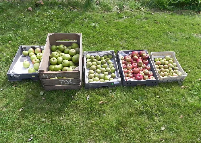 Panzió Appels En Peren