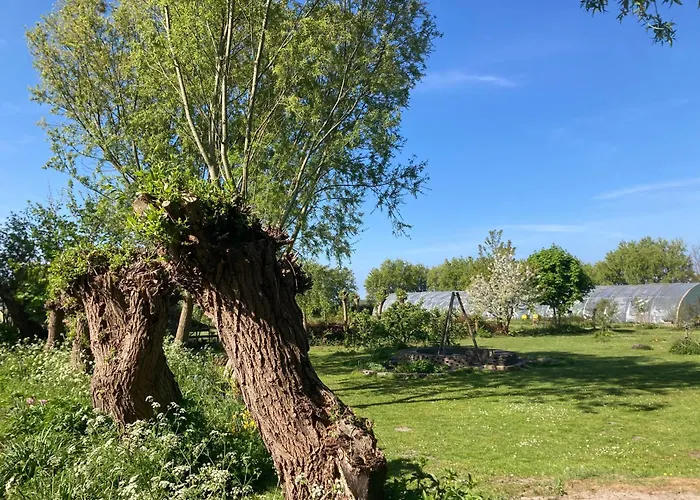 Appels En Peren 4* Breezand