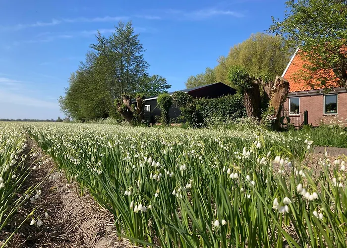 Appels En Peren Panzió Breezand