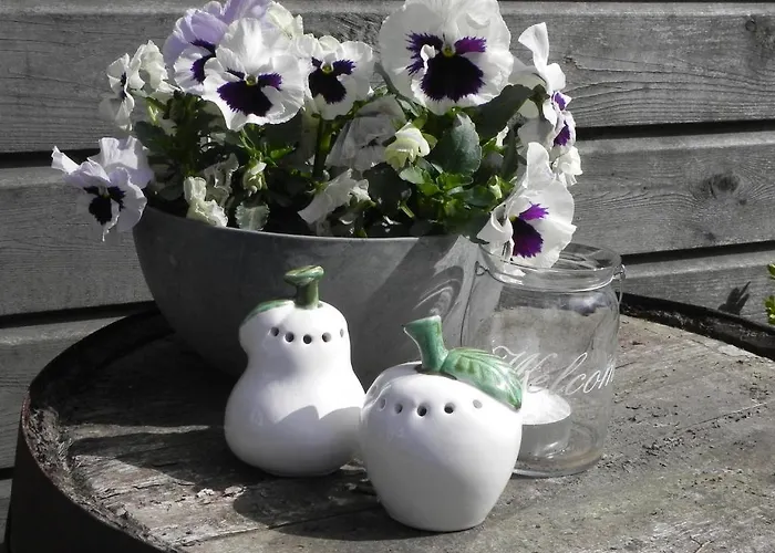 Appels En Peren 4* Breezand