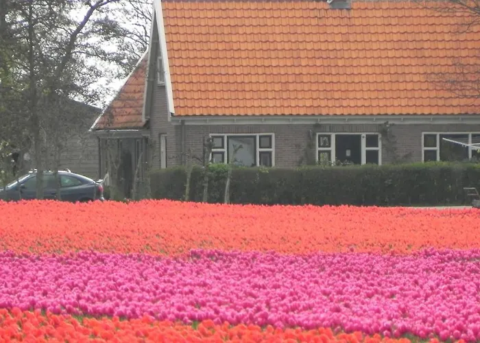 Bed & Breakfast Appels En Peren