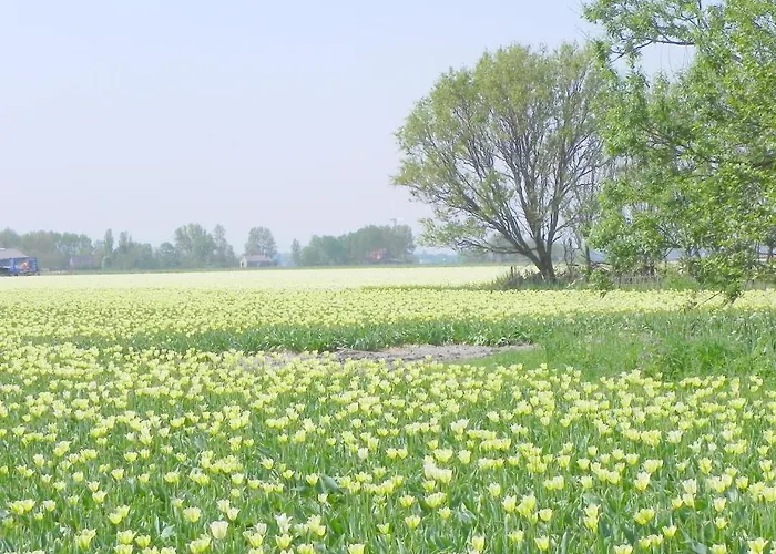 Panzió Appels En Peren
