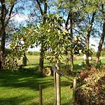 Appels En Peren