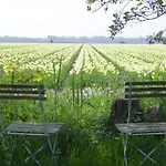 Appels En Peren