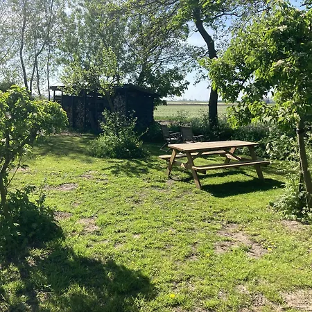 Appels En Peren Breezand (North Holland)