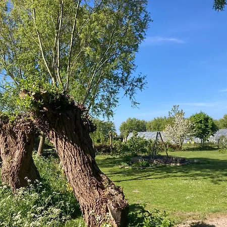 Appels En Peren 4* Breezand