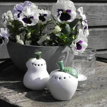 Appels En Peren 4* Breezand